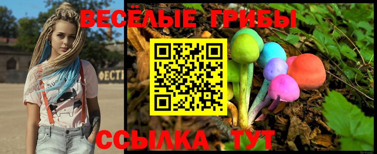Белорецк  Псилоцибиновые грибы GOLDEN TEACHER  как найти наркотики  Вход с VPN 