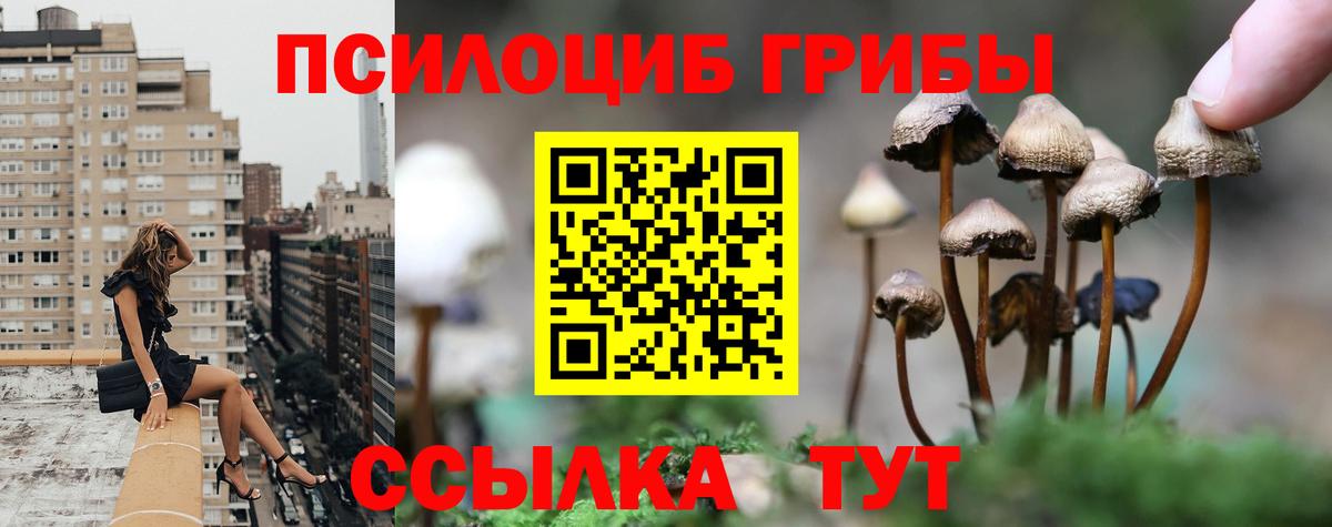 Псилоцибиновые грибы Magic Shrooms Белорецк